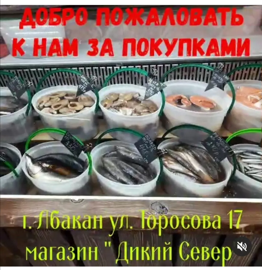 рЫБА, деликатесы из рыбы и мяса в Абакане и Хакасии 10